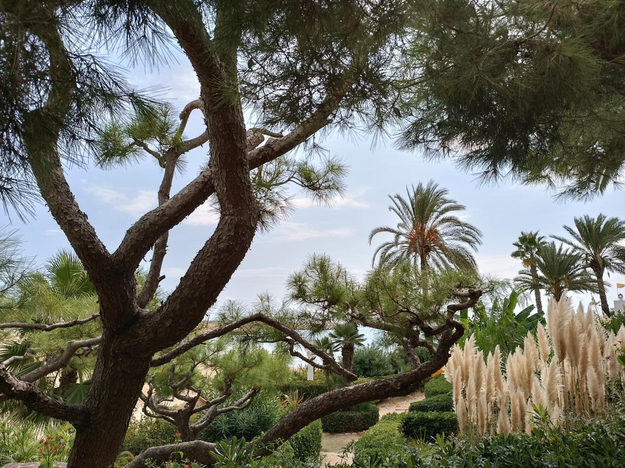 Lluna Beach Bara Roda de Bará 외부 사진
